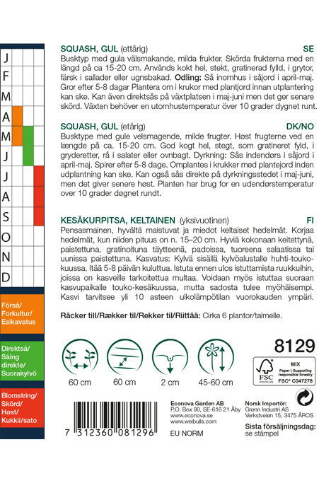 Gul squash 'Solei'